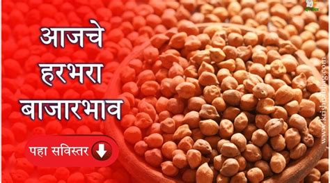 Krishivibhag.com - कृषि विभाग : न समृद्धी कृषि विना