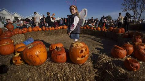Draculas and skeletons welcome crowds to Halloween fest in Bucharest
