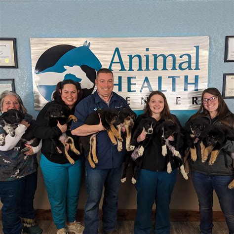 Animal Health Center | Today we got to spay and neuter this adorable ...
