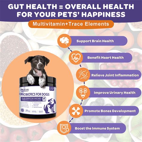 Probiotics + Prebiotics + Digestive Enzymes + Omega 3 for Dogs & Cats, Reduce Diarrhea ...