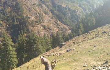 Pleasurable 3 Days 2 Nights Kasol, Manikaran and Malana Village ...
