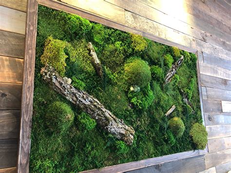 Living Wall Art Moss at Eve Milson blog