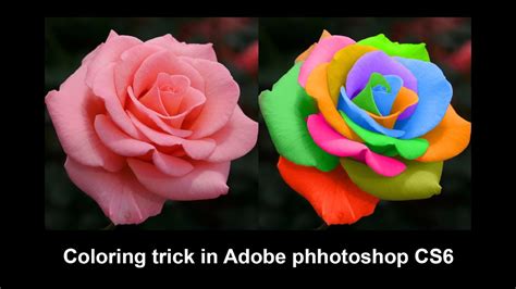 Image result for Coloring Photoshop Tutorial