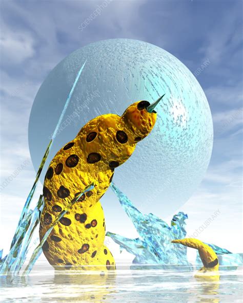 Image result for Alien Parasite Horror