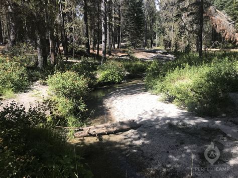 Tamarack Flat Campground, Yosemite National Park, CA - Latest Reviews ...