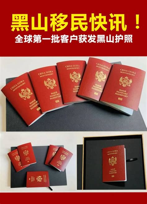 用时不到三个月，首位中国投资者成功拿到黑山护照 - 知乎