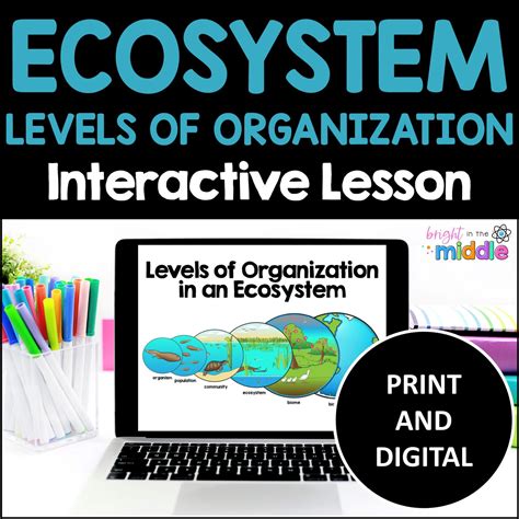 Ecosystems - Levels of Organization - Bright in the Middle