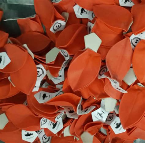 Soccer Ball Pic 的图像结果