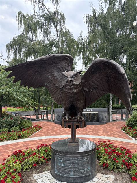 Temple University - Acceptance Rate, Deadlines & Admission Info