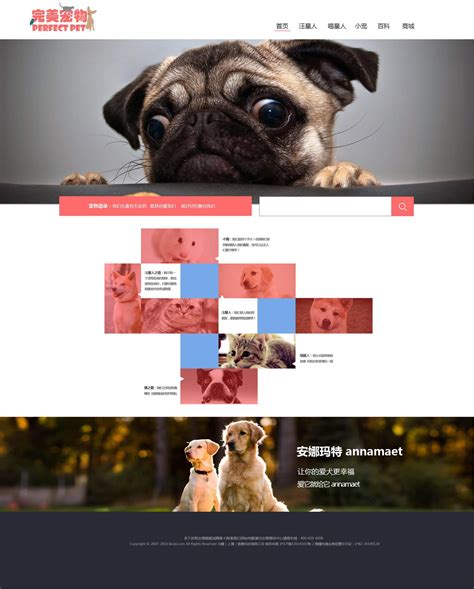 宠物网页设计|网页|门户/社交|Z爸在干嘛 - 原创作品 - 站酷 (ZCOOL)