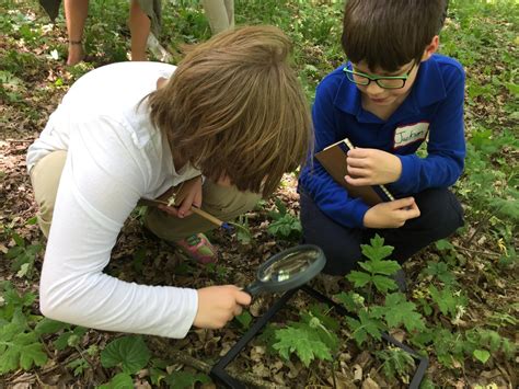 Image result for Problem Solving Development in Adolescence