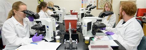 Medical Lab Science 的图像结果