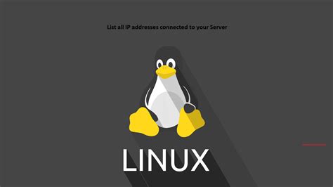 Server IP List 的图像结果