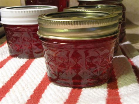 How To Make Crab Apple Jelly | Apple jelly, Crab apple jelly, Crab ...