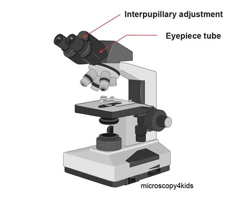 Image result for Course Focus Microscope Function