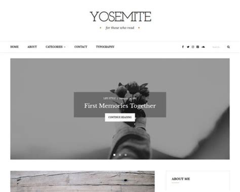 Best Fast Loading WordPress Themes Compilation Fastest WP Themes