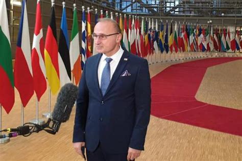 Grlić-Radman: Visoki predstavnik je ostatak prošlosti, BiH nije mjesto ...