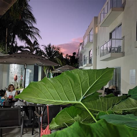 STUDIOTEL CANCUN - Lodging Reviews & Photos - Tripadvisor