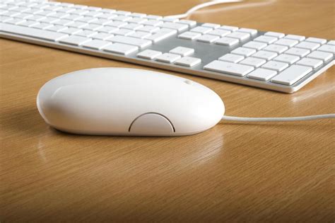 Image result for Computer Input Devices List