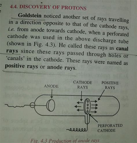 explain discovery of proton - Brainly.in