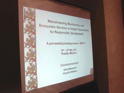 Mainstreaming biodiversity and Ecosystem Services in Impact Assessment ...
