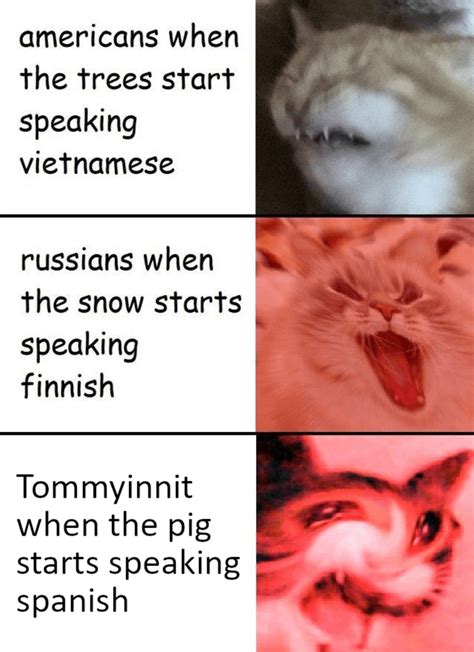 Donde Esta La Biblioteca