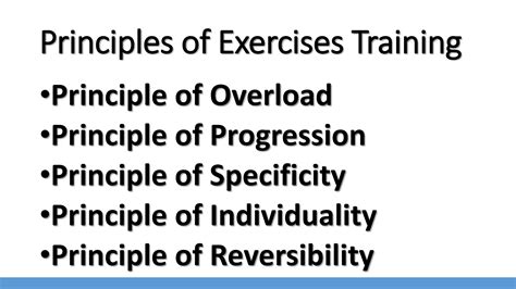 Exercise Program Design 的图像结果