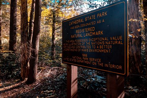 Biggest, oldest trees in WV are at this state park