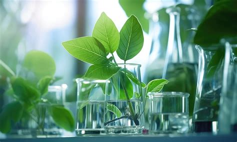 Image result for Micro Sampling