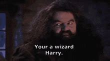 You Re A Wizard Harry Meme GIFs | Tenor