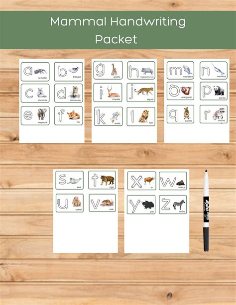 Printing Primer Cards Alphabet Lowercase Mammals Letter - Etsy