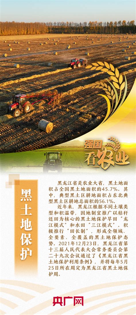 大农业 的图像结果