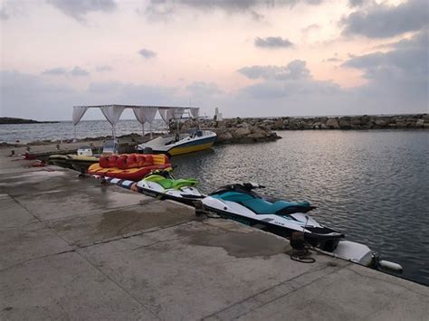 Coral Beach Hotel & Resort Diving School (Paphos) - All You Need to ...