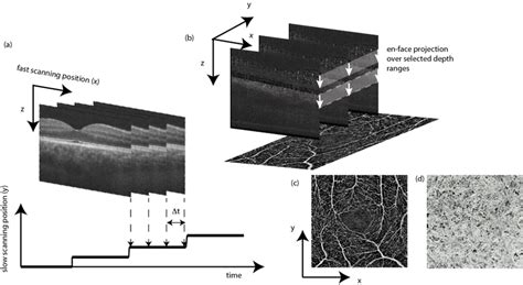 Image result for Octa Development History