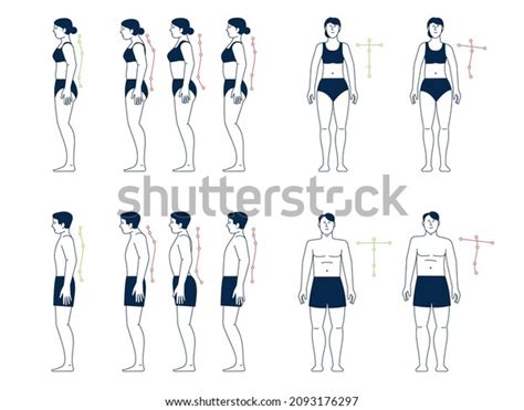 Image result for Proper Alignment