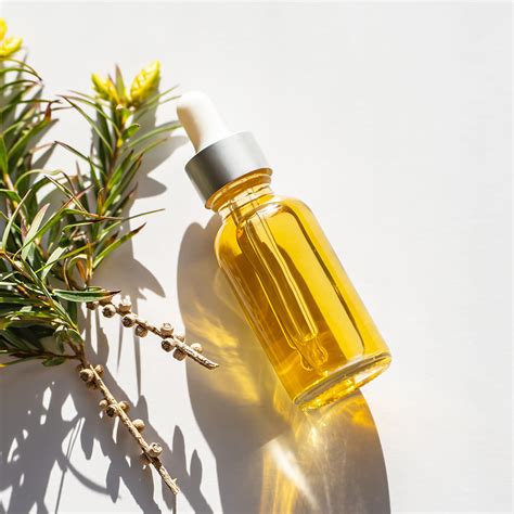 Tea Tree Oil Benefits & 5 Best Products | LBB