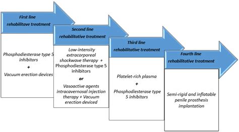 Current Knowledge on Radiation-Therapy-Induced Erectile Dysfunction in Prostate-Cancer Patients ...