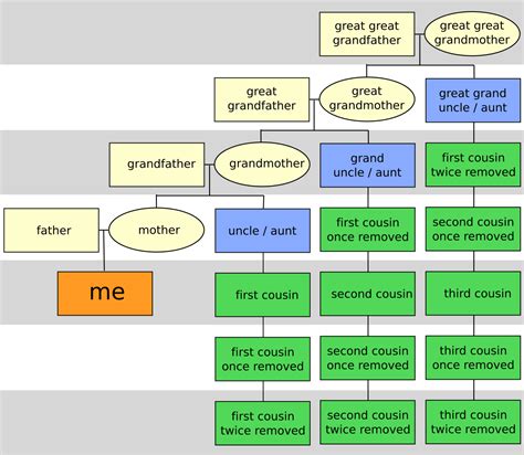 First Cousin Once Removed: Definition & Family Ties