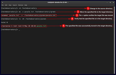 Build a Script to Move Files Sample 的图像结果