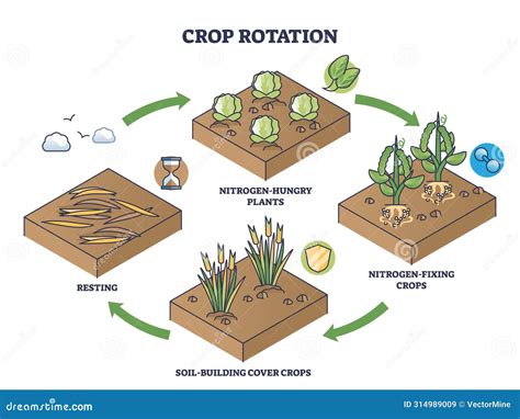 Image result for Crop Rotation