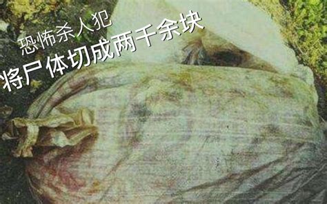 南京碎尸案：凶手把人切成2000块煮熟，差点让人捡回家吃掉！ - 哔哩哔哩