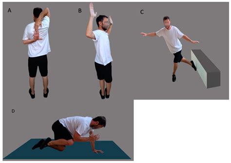 Preliminary Insights into the Diagnostic Accuracy of the Modified Arm ...