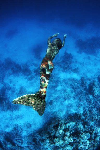 Hannah Mermaid 的图像结果