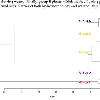 Image result for Dendrogram Examples