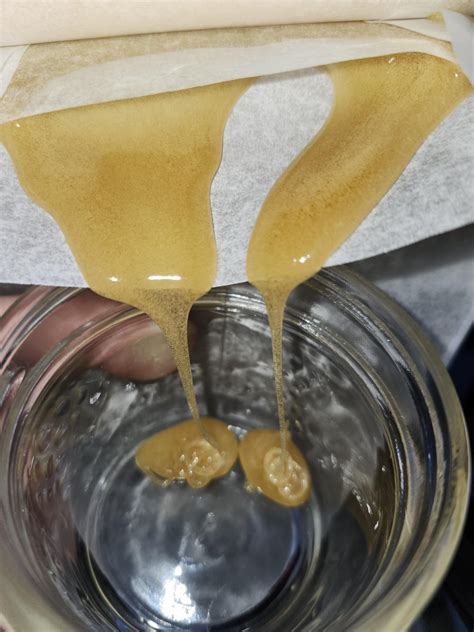 34 st kush cookies 🍪 hash rosin fresh off the press 😋 : r/TheOCS
