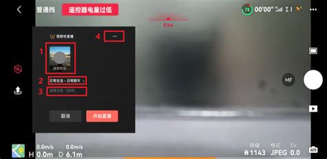 DJI Fly Tutorial 的图像结果