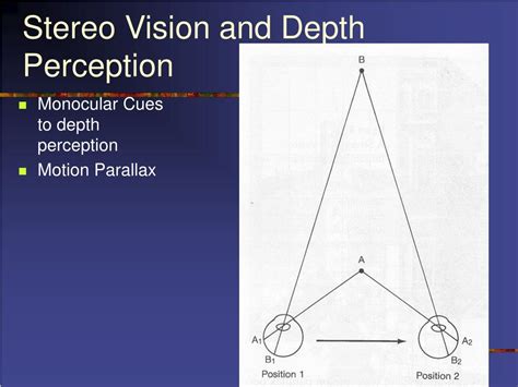 Depth Perception Examples 的图像结果