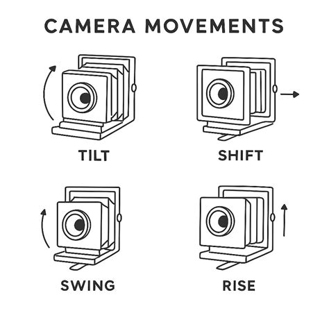 Beginner's Guide to Analog Photography: Tips, Gear, and Techniques