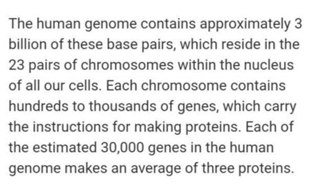 How many base pairs (bp) are found in the haploid genome of humans ...