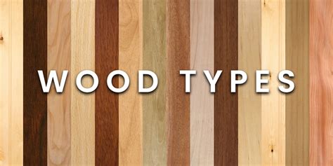 Choosing the Right Wood for Doors Windows & Interiors A Complete Guide